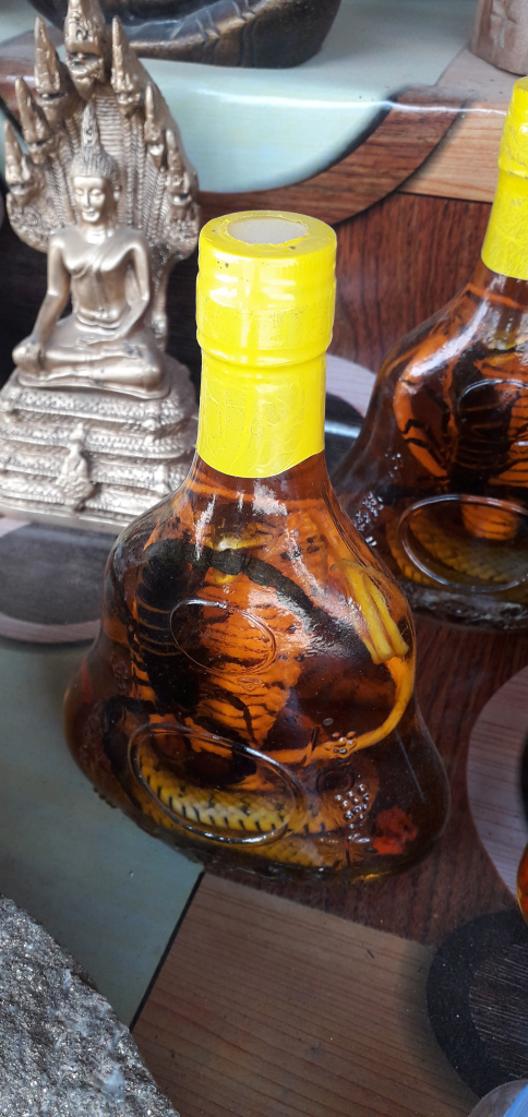Photo of Travelogue: Lovesu in the time of Corona - A backpacking anniversary in Cambodia by Vikram Mn