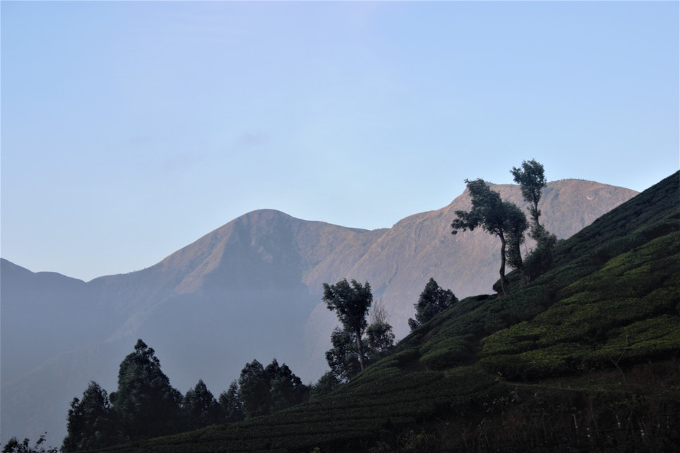 Photo of Travelogue: Top Tucker Trek to Munnar Top Station by Vikram Mn