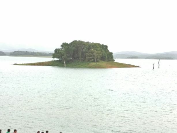 Photo of Travelogue: Shimoga Splendour - Kodachadri, Kollur Temple and more by Vikram Mn