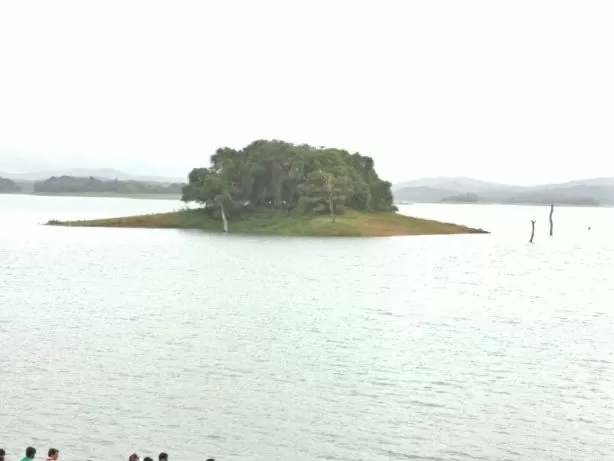 Photo of Travelogue: Shimoga Splendour - Kodachadri, Kollur Temple and more by Vikram Mn