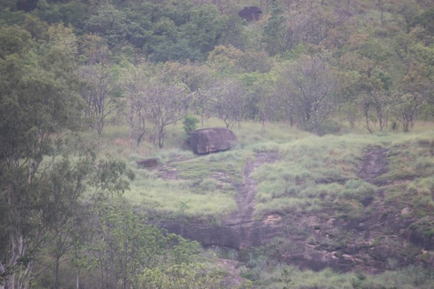 Photo of Travelogue - Memoirs of Meesapulimala by Vikram Mn