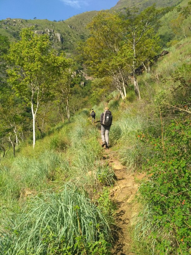 Photo of Travelogue - Memoirs of Meesapulimala by Vikram Mn