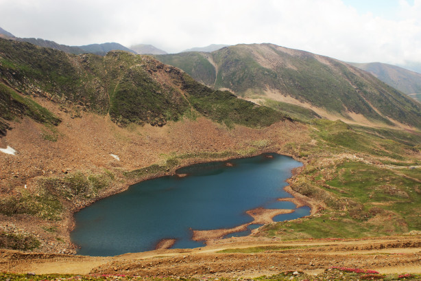 Photo of Travelogue: Mission Kashmir - Srinagar, Gulmarg, Pahalgam and Amanath trek by Vikram Mn