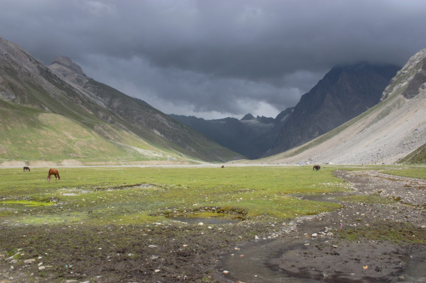 Photo of Panjtarni Camping Site, Forest Block by Vikram Mn