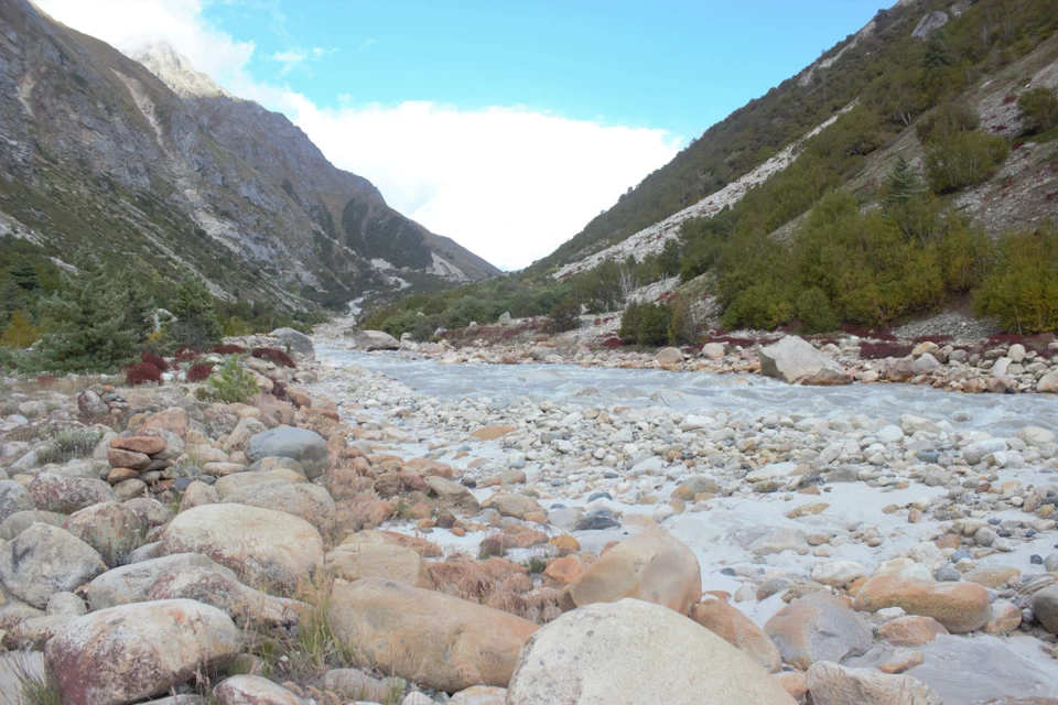 Photo of Chirbasa, Uttarakhand, India by Vikram Mn