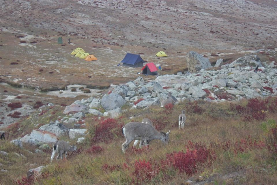 Photo of Travelogue: The Glacier that was - Gaumukh Tapovan by Vikram Mn