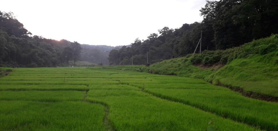 Photo of Travelogue - A Dud called Dandeli by Vikram Mn