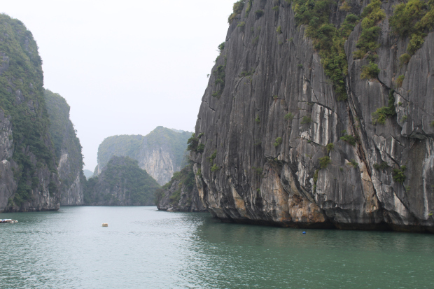Photo of Cat Ba island- Emerald Waters, my first time Kayaking and more! 4/8 by Yashodhara Roy