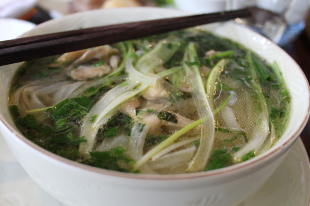 Photo of 5 Places On My Hanoi Food Trail 4/8 by Yashodhara Roy