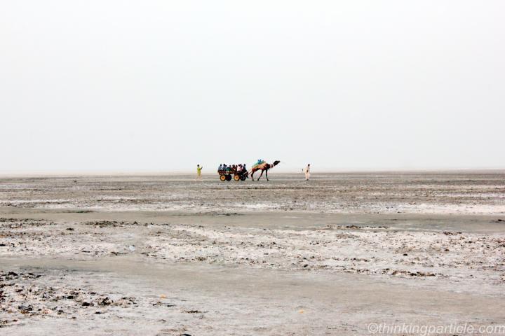 Photo of Best Road Trips in India 7/7 by Ashwini pawar