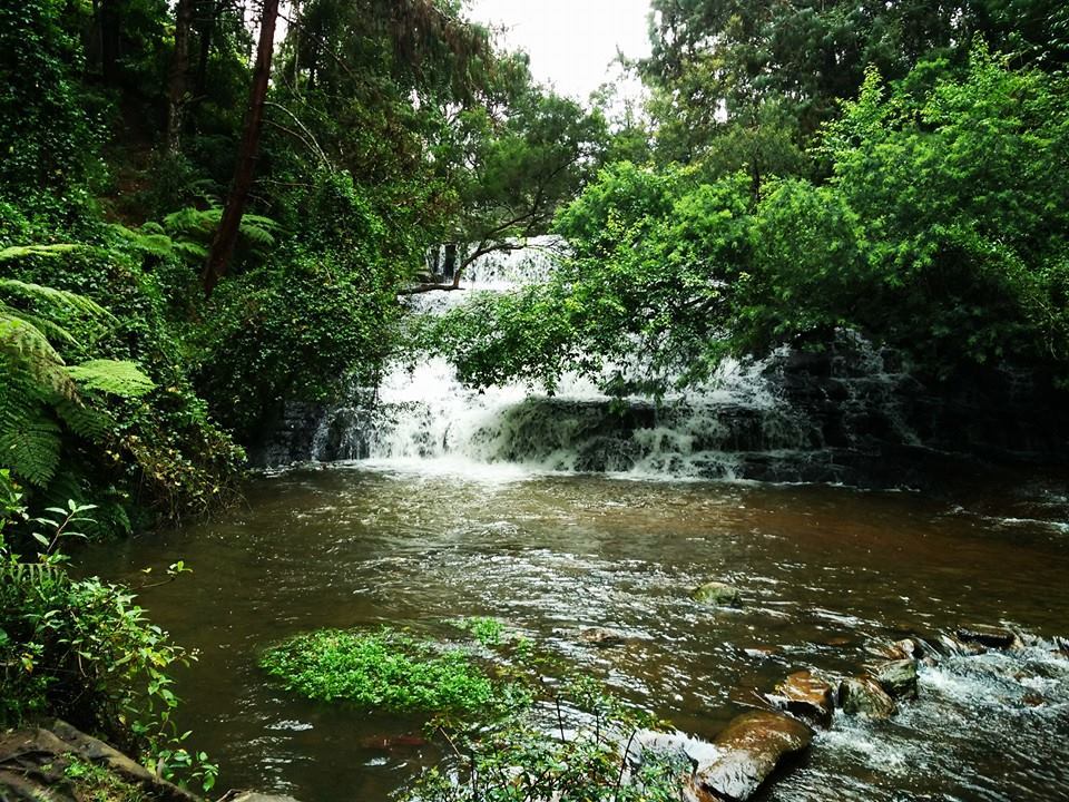 Photo of Kodaikanal – Princess of Hills 6/6 by Kaushik Rao
