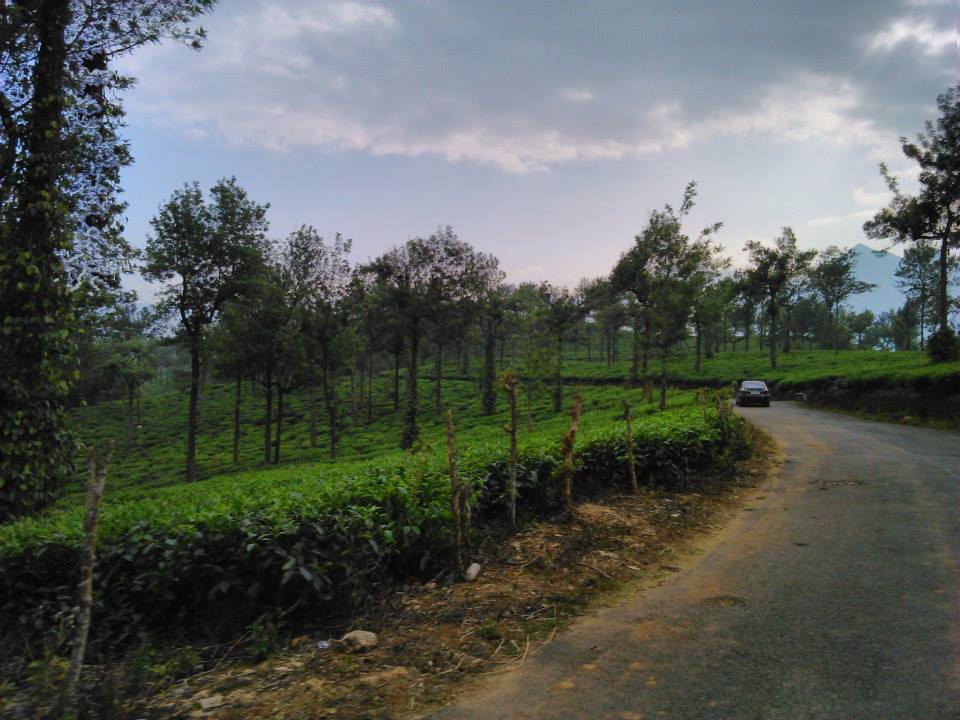 Photo of Wayanad – Weekend Getaway 3/4 by Kaushik Rao