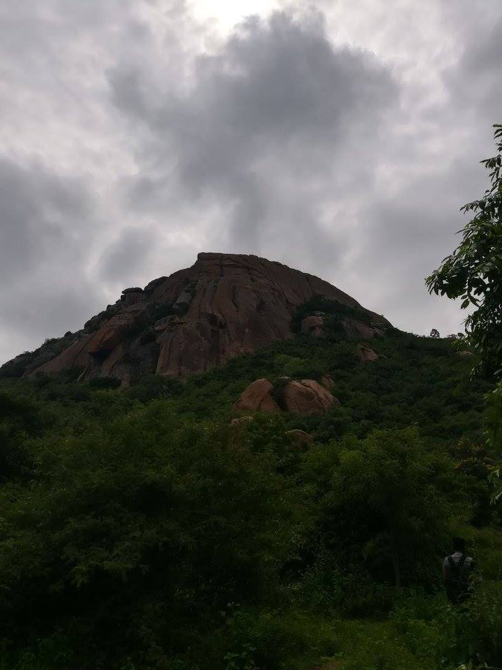 Photo of Thayee Betta day trek 5/8 by Namma Trip