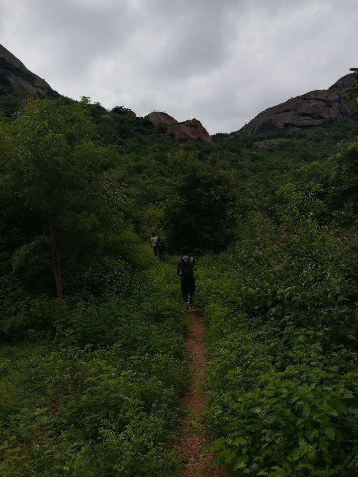 Photo of Thayee Betta day trek 6/8 by Namma Trip