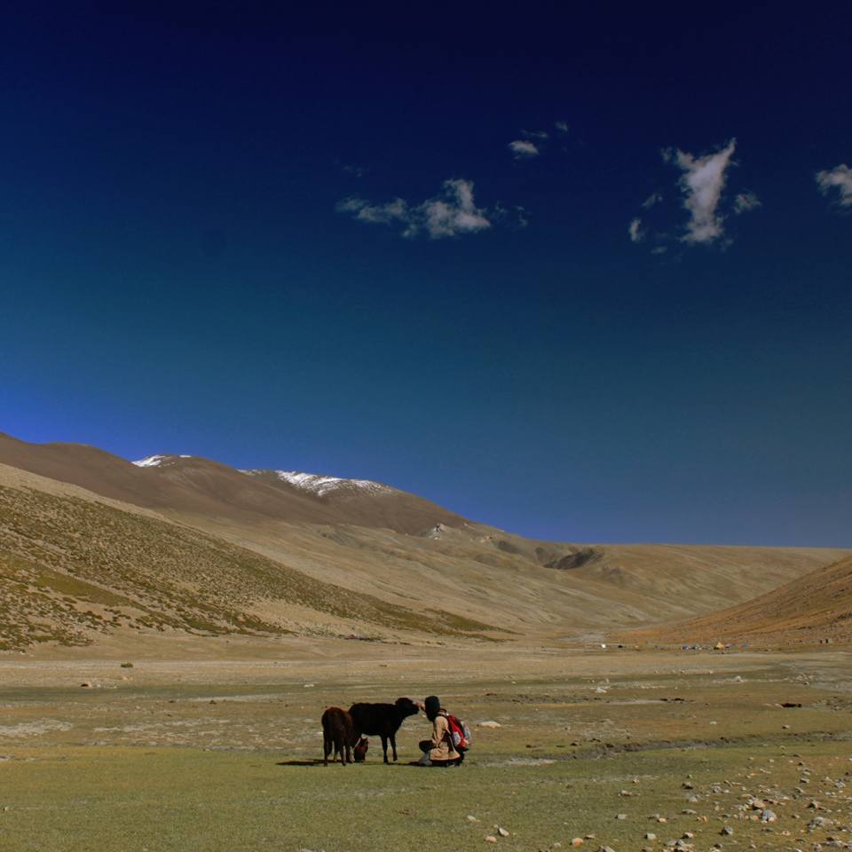 Photo of Nimaling Camping Ground, Leh by elisabeth aradhana