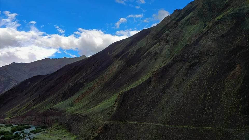 Photo of Nimaling Camping Ground, Leh by elisabeth aradhana