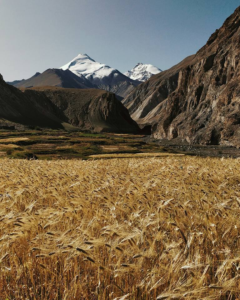 Photo of Nimaling Camping Ground, Leh by elisabeth aradhana