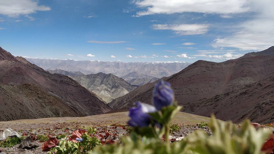 Photo of Nimaling Camping Ground, Leh by elisabeth aradhana