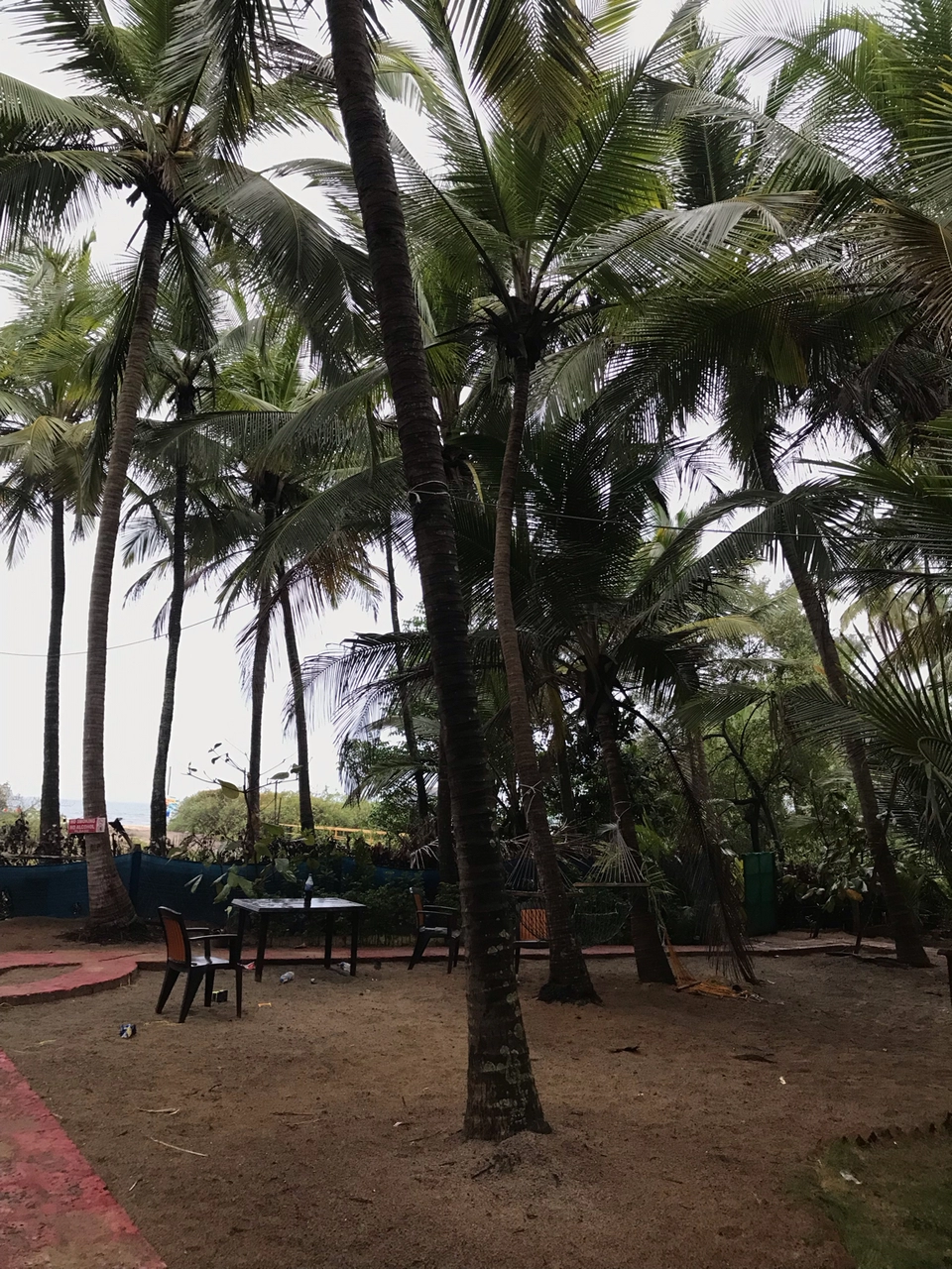 Photo of Maharashtra by Sanhita Talathi