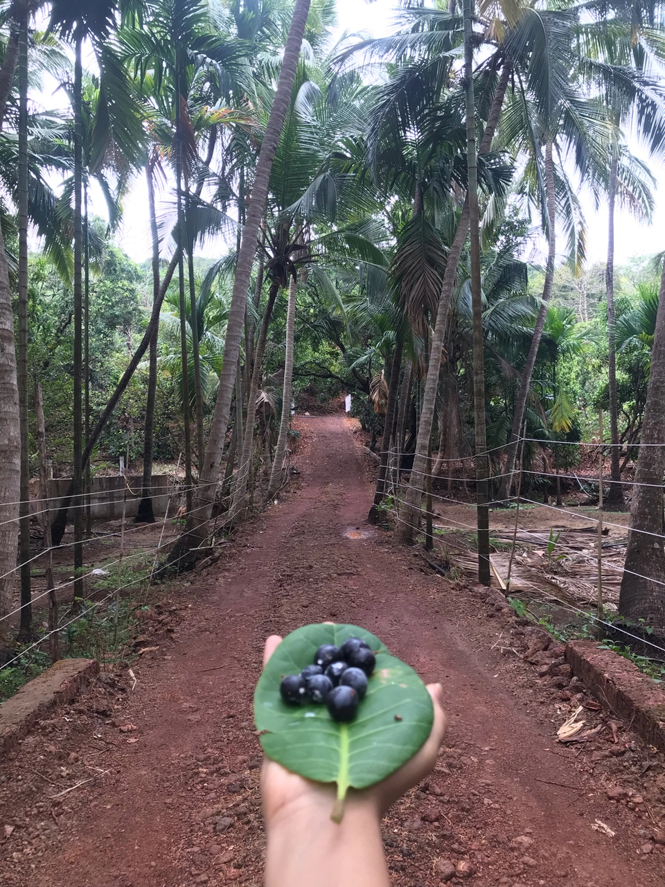Photo of Maharashtra by Sanhita Talathi