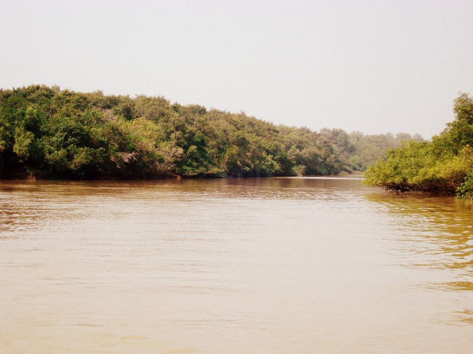 Photo of Bhitarkanika, a lesser known National Park of India 10/37 by Ria Saha