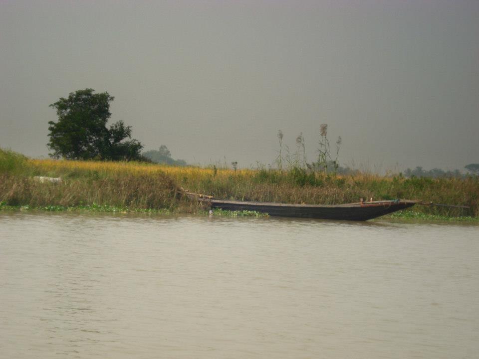 Photo of Bhitarkanika, a lesser known National Park of India 4/37 by Ria Saha