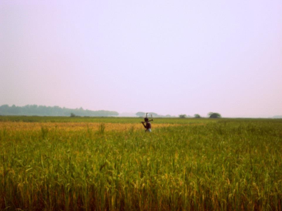 Photo of Bhitarkanika, a lesser known National Park of India 5/37 by Ria Saha