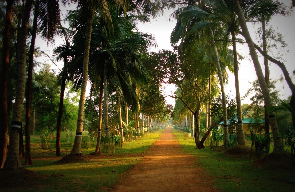 Photo of Bhitarkanika, a lesser known National Park of India 27/37 by Ria Saha