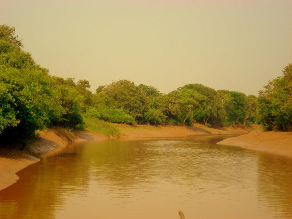 Photo of Bhitarkanika, a lesser known National Park of India 16/37 by Ria Saha