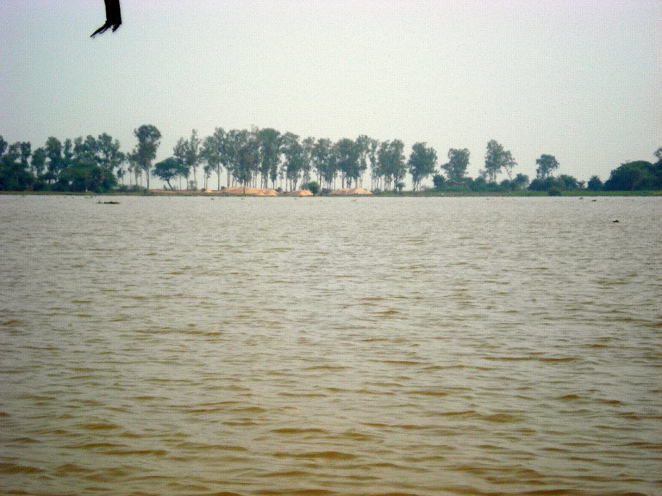 Photo of Bhitarkanika, a lesser known National Park of India 3/37 by Ria Saha