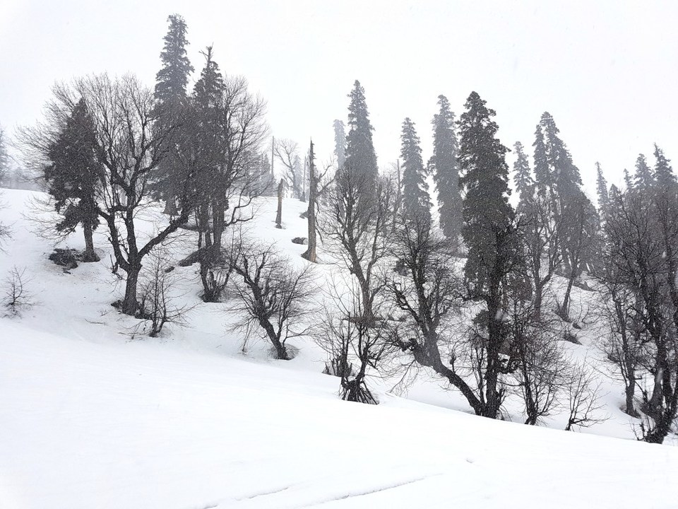 Photo of India's Very Own Winter Wonderland: Gulmarg 3/8 by Twinkle Bakshii