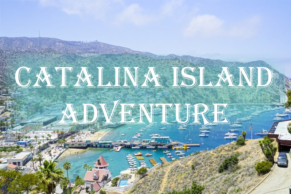 Photo of A Weekend at Catalina Island - KavaraStories by KavaraStories