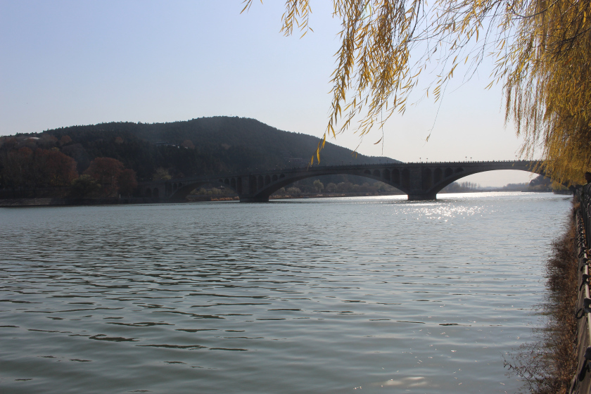Photo of Weekend visit to Shaolin temple and Longmen Grottoes 6/25 by Balachandra