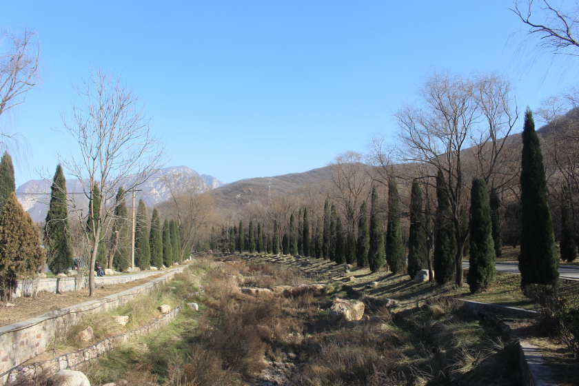 Photo of Weekend visit to Shaolin temple and Longmen Grottoes 21/25 by Balachandra