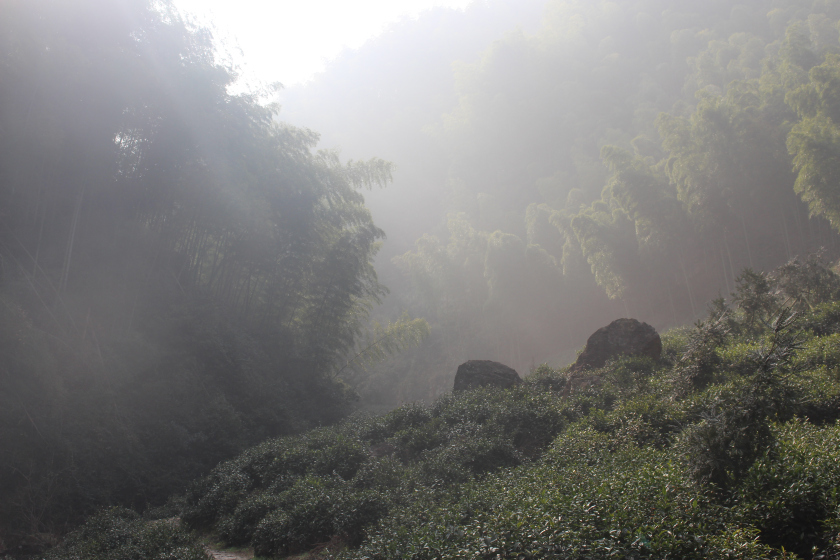 Photo of Dream start to the New Year with a trek to Dongbaishan 2/17 by Balachandra