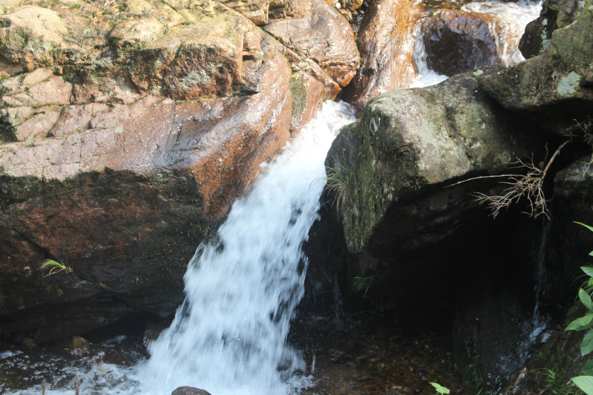 Photo of Dream start to the New Year with a trek to Dongbaishan 4/17 by Balachandra