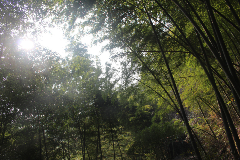 Photo of Dream start to the New Year with a trek to Dongbaishan 5/17 by Balachandra