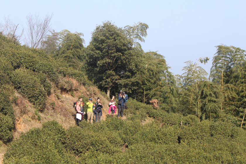 Photo of Dream start to the New Year with a trek to Dongbaishan 8/17 by Balachandra