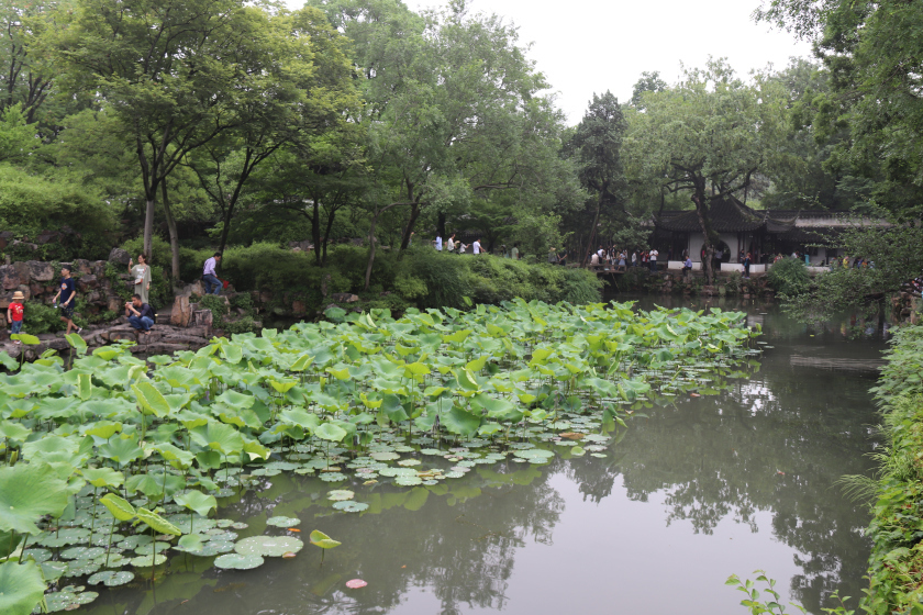 Photo of A short and sweet trip to Suzhou and Nanjing 11/65 by Balachandra
