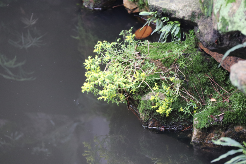 Photo of A short and sweet trip to Suzhou and Nanjing 20/65 by Balachandra