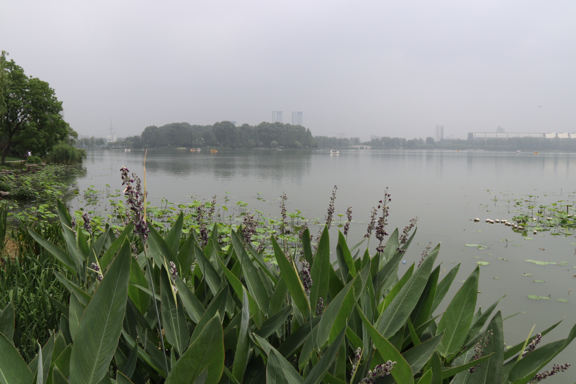 Photo of A short and sweet trip to Suzhou and Nanjing 44/65 by Balachandra