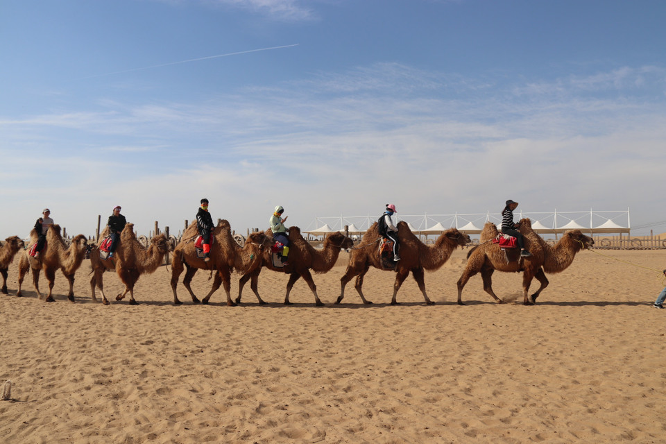 Photo of Trip to the grasslands and desert of Inner Mongolia by Balachandra