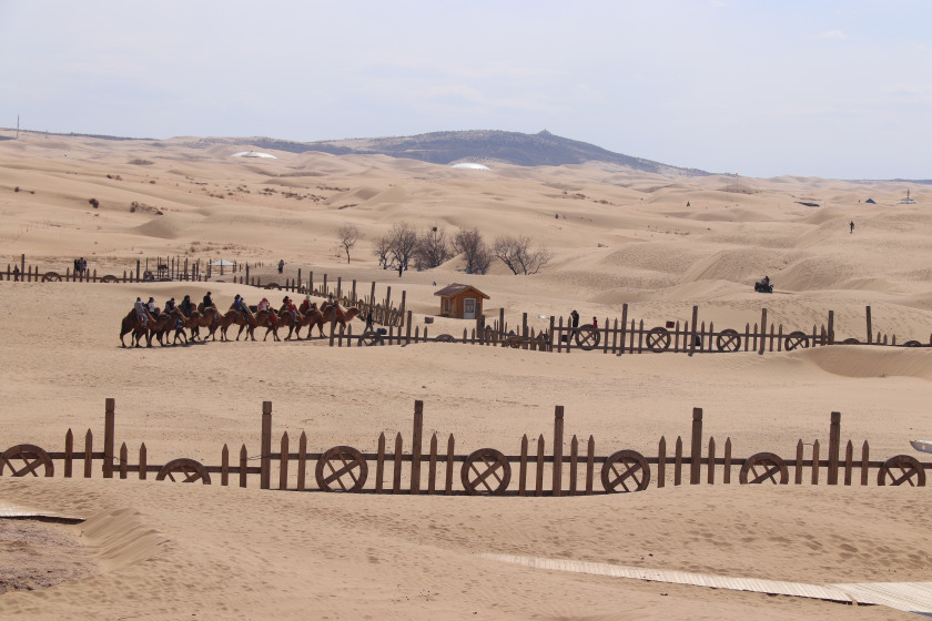 Photo of Trip to the grasslands and desert of Inner Mongolia 10/36 by Balachandra