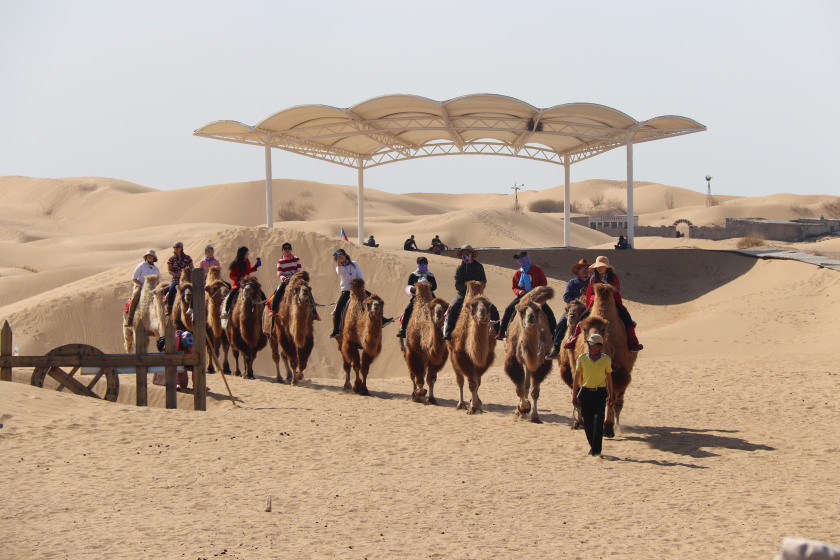 Photo of Trip to the grasslands and desert of Inner Mongolia 12/36 by Balachandra