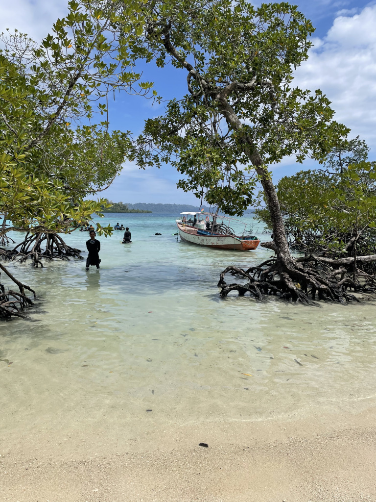 Photo of Amazing Andaman 14/103 by Balachandra