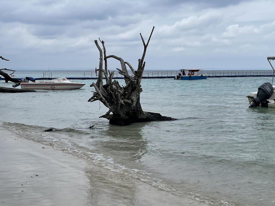 Photo of Amazing Andaman 32/103 by Balachandra