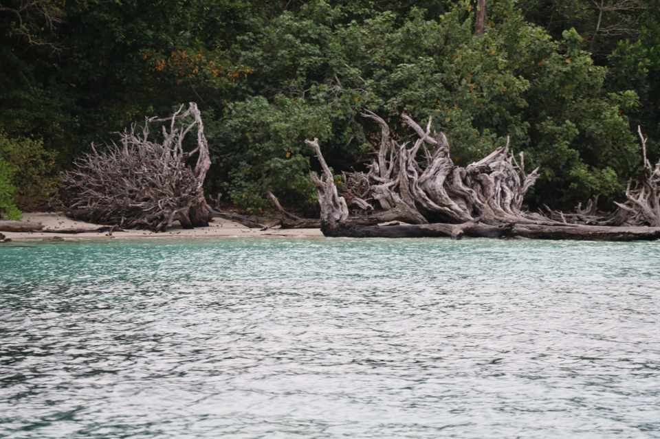 Photo of Amazing Andaman 30/103 by Balachandra