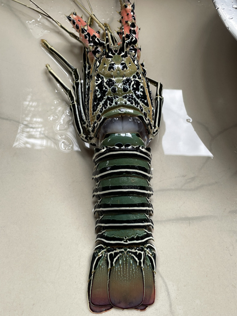 Photo of Amazing Andaman 48/103 by Balachandra
