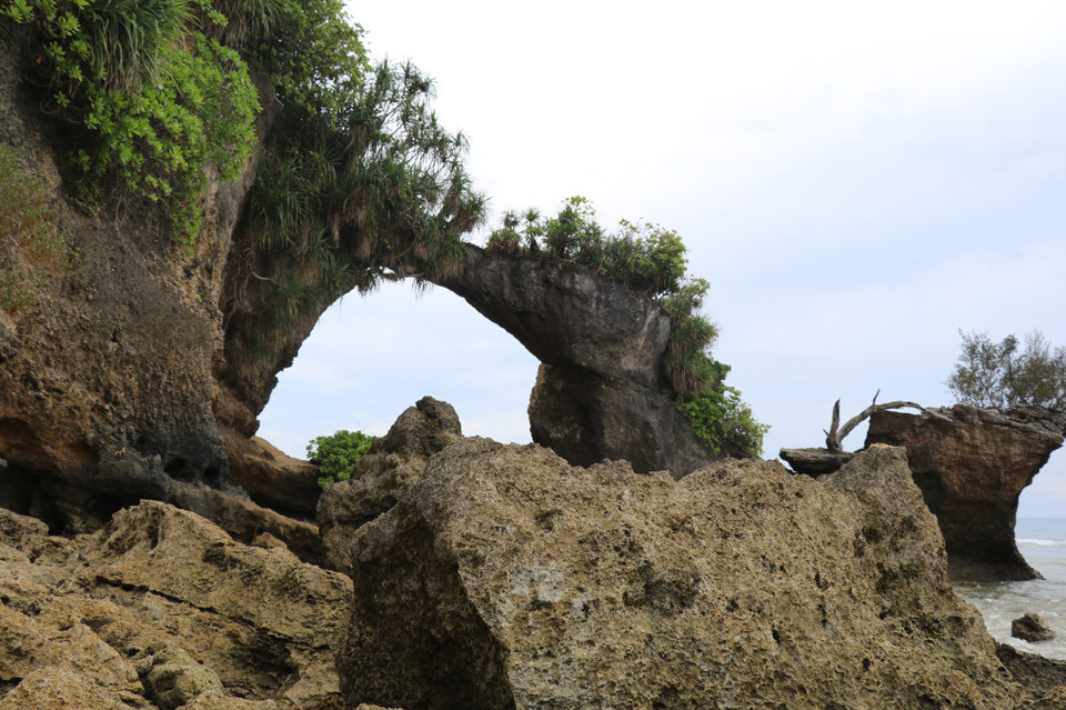 Photo of Amazing Andaman 57/103 by Balachandra
