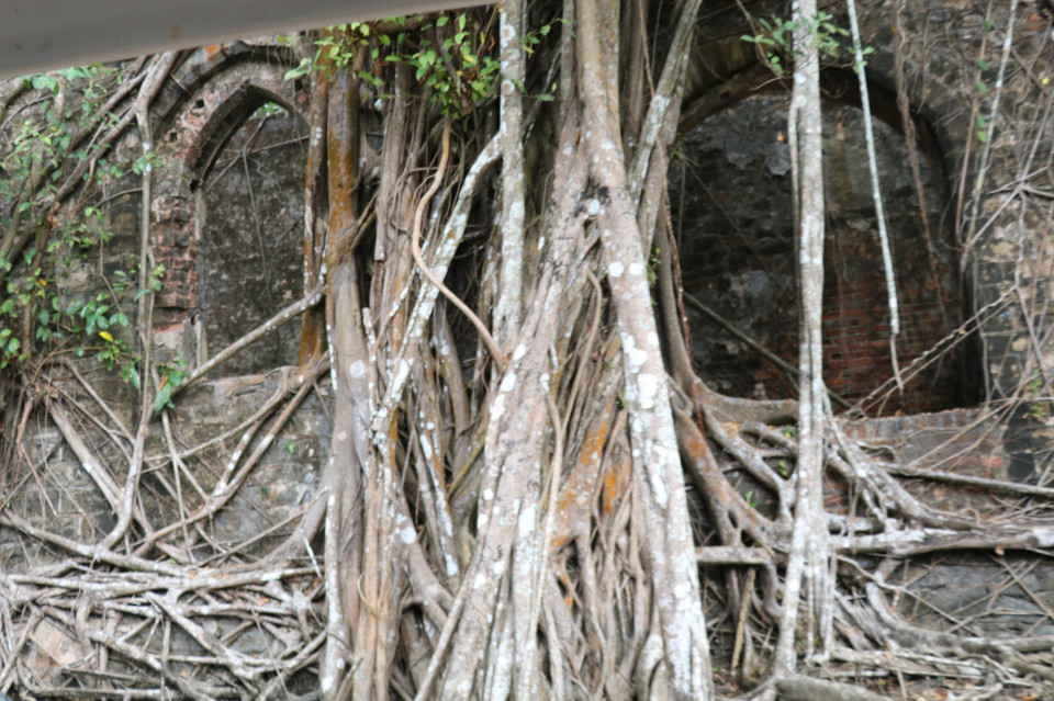 Photo of Amazing Andaman 84/103 by Balachandra